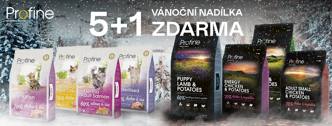 profine-5+1
